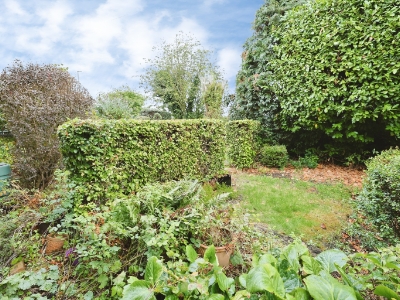 Picture 17